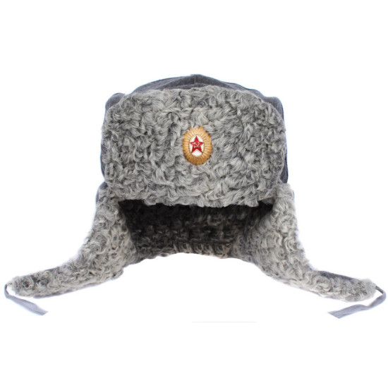 Chapeau de l'armée rouge de l'URSS en fourrure d'astrakan gris de l'armée soviétique ushanka FSO