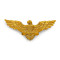 Coccarda d'oro dell'Aeronautica Militare ucraina, distintivo con aquila da berretto