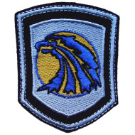 Mercenaries Stalker patch with eagle 116