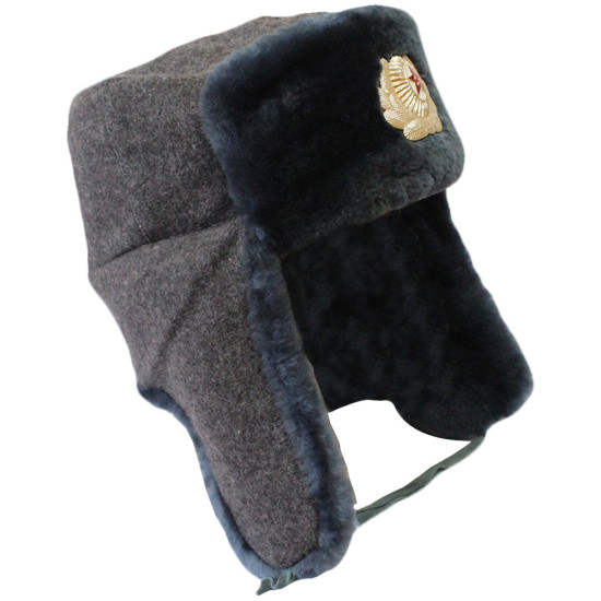 Vintage armée soviétique bleu chapeau oreillette officier hiver chaud Ushanka véritable chapeau de trappeur militaire