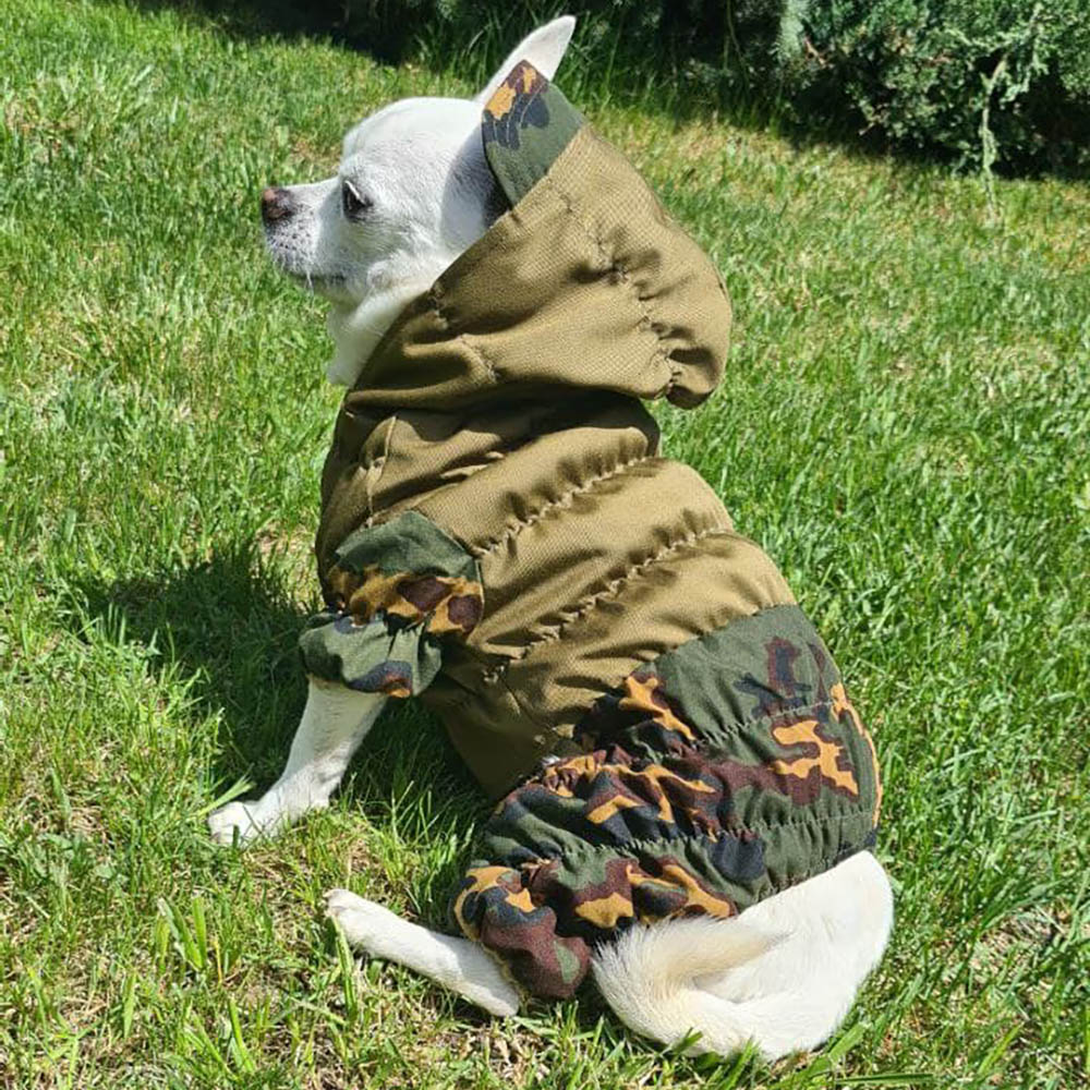 custom dog jacket