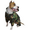 Custom "Tactical dog suit" Custom frog camo uniform with hood Outdoor light-reflecting cotton pet clothing Dog Clothing