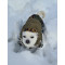 "Hundetyp" NO FLEECE Gorka Partizan Camo Hoodie Hundebekleidung Wasserdichte Outdoor-Haustierbekleidung