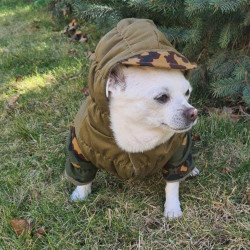 Sudadera con capucha de camuflaje Gorka Partizan de lana táctica Original, ropa para perros, chaqueta impermeable personalizada para perros, ropa cálida para mascotas al aire libre