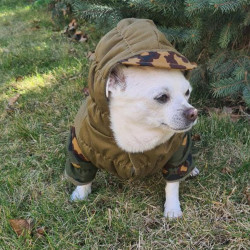 Original Tactical Fleece Gorka Partizan camo hoodie Dog wear Waterproof Custom dog jacket Warm Outdoor pet clothing