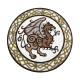 Parche de manga de velcro / termoadhesivo bordado con nudo de dragón celta de mitología