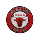 Chicago Bulls NBA Team Embroidered Iron-on / Velcro Patch