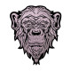 Parche bordado de Rise of Apes Parche cosido de mono Bordado de manga animal