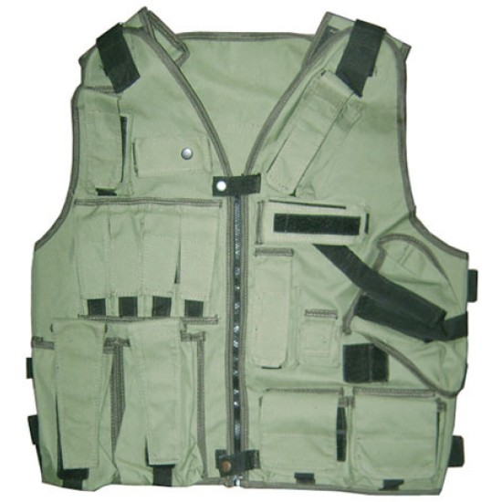 Ukraine Army Frontier Guards Assault Vest