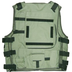 Ukraine Army Frontier Guards Assault Vest