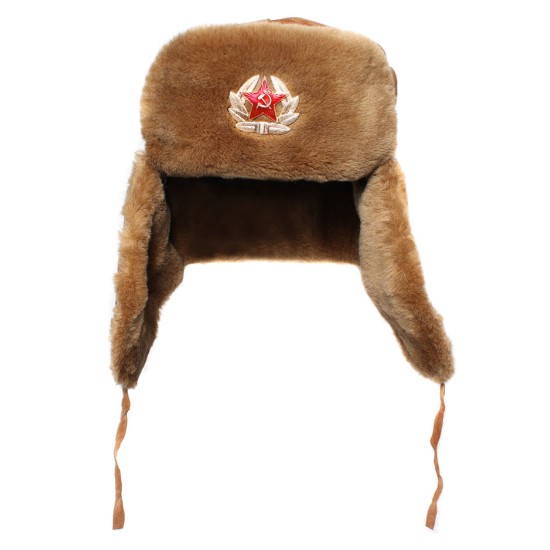 茶色の毛皮の冬の帽子は、スウェードレザーとイヤーフラップ