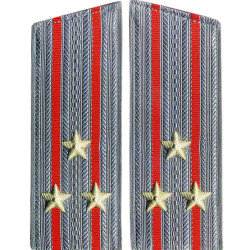 Combined Arms Senior Officers parade overcoats shoulder boards