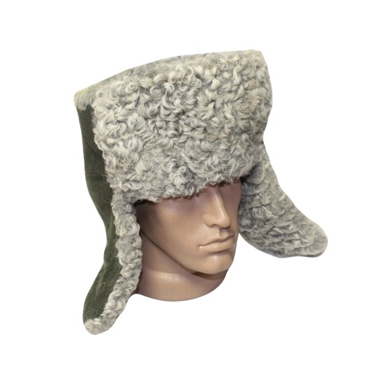 Chapeau en fourrure ushanka gris militaire russe / URSS