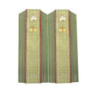 Sergeant-major of Soviet Army demobee shoulder boards