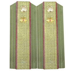 Sergeant-major of Soviet Army demobee shoulder boards