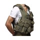 Combat tactique assaut gilet système  ROCHE