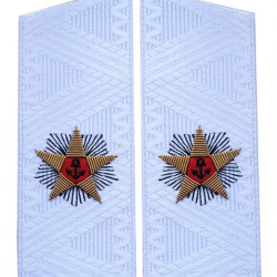 Soviet ADMIRAL daily uniform shoulder boards USSR epaulets