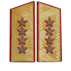 Paneles soviéticos del desfile general Hombros del ejército hasta 1974