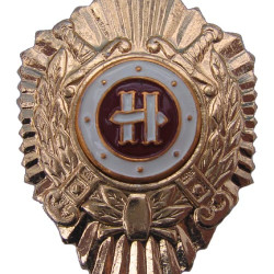 Ministry of Internal Affairs INSTRUCTOR special BADGE