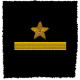 FLOTTE SOVIETIQUE MARINE 2 OFFICIERS PATCHS D'EPAULE