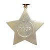 Médaille militaire spéciale soviétique ORDRE DE LA GLOIRE 2e classe