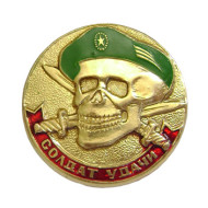  badge SOLDIER OF LUCK Green Beret