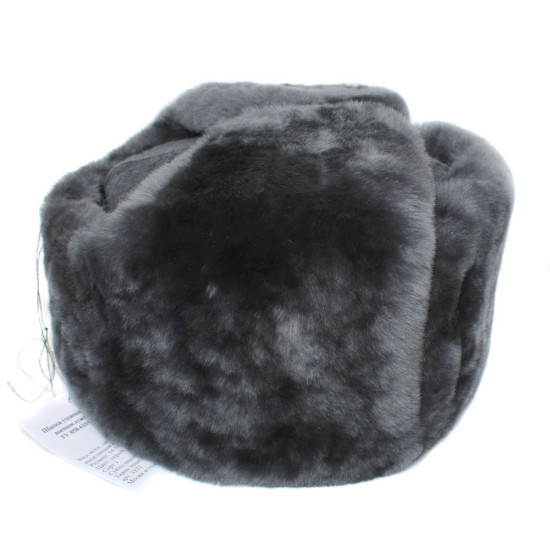 Cappello di pelliccia grigia Ufficiali sovietici Armata rossa Cappello ushanka invernale con paraorecchie