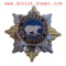 Sea Infantry MARINES Award BADGE Star with POLAR BEAR