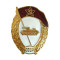 USSR special Military TANK SCHOOL metal Badge