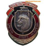 "Crew of Special Assignment" badge