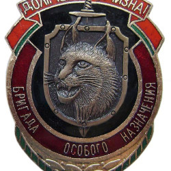 "Crew of Special Assignment" badge