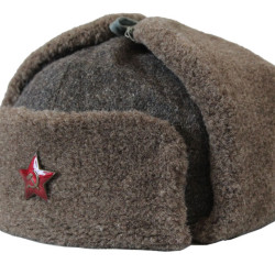 Old authentic Soviet Ushanka winter hat Red Army hat WWII type