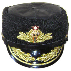 Soviet Admiral hat Navy Fleet winter Papaha hat Animal leather USSR headwear