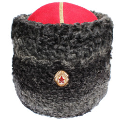 Cappello Astrakhan dell'esercito sovietico PAPAKHA per i generali dell'URSS