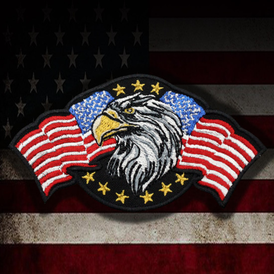 Drapeau américain Eagle USA brodé thermocollant / patch à manches velcro